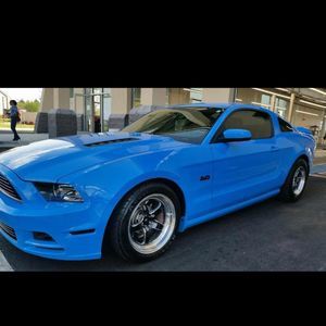 Meet your Posher, Matt